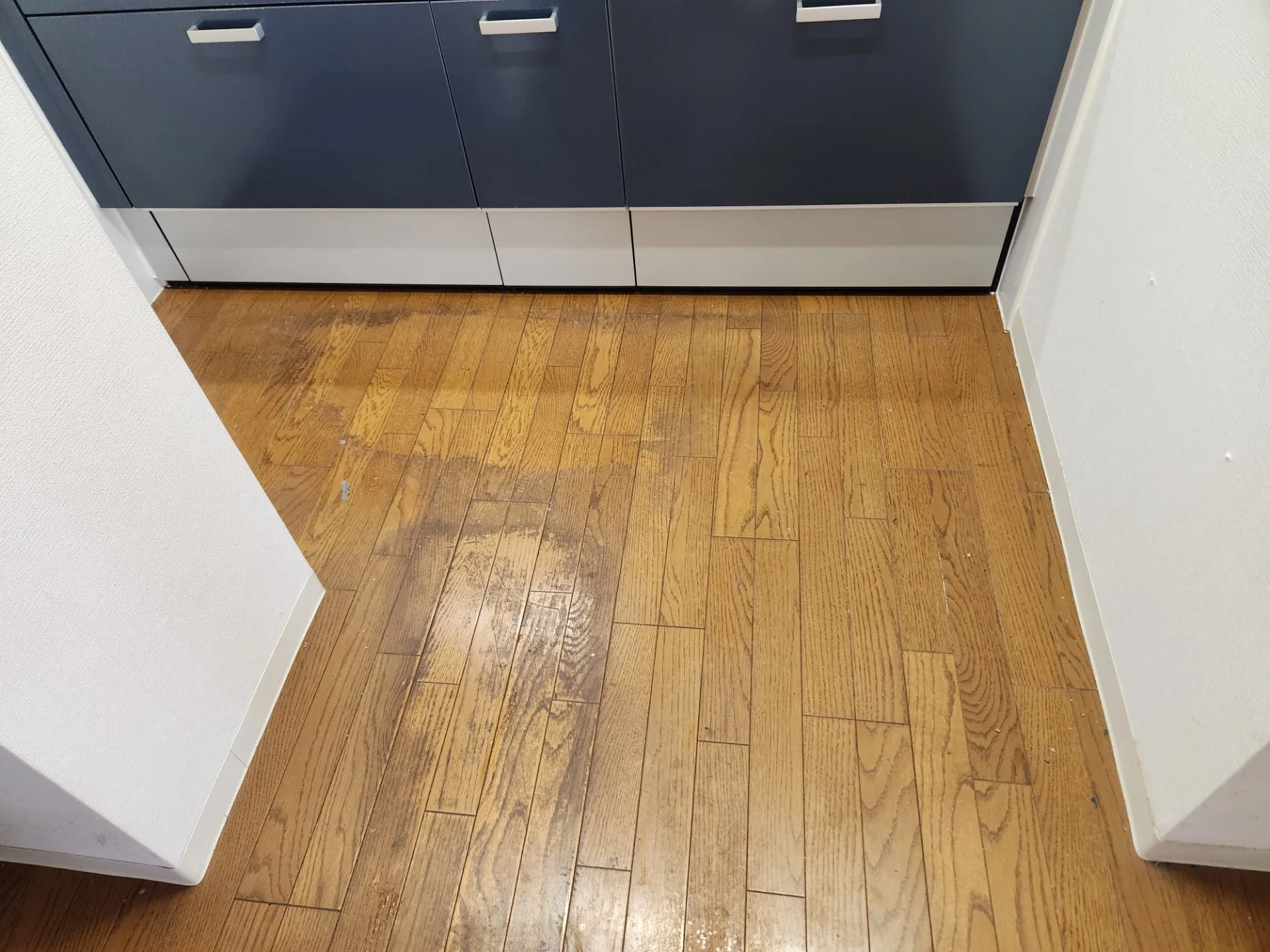 空室クリーニング